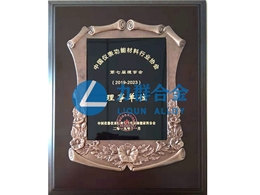 中國儀表功能材料行業協會理事單位